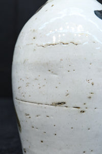 時代を重ねた面持ちある酒徳利　DC7879