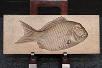 細部まで丁寧に彫られて躍動感のある大型サイズ鯛の菓子型　DC7929bc　在庫(b:0 c:1)個