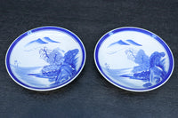 清閑な家屋のある風景を描いた中皿　DC7944ab　在庫(a:2 b:1)枚