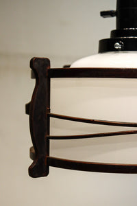 松葉の装飾で雅な面持ちある電笠　DC7957a