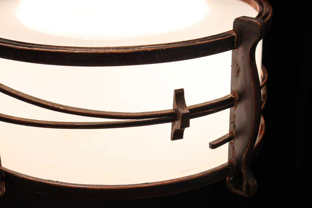 松葉の装飾で雅な面持ちある電笠　DC7957a