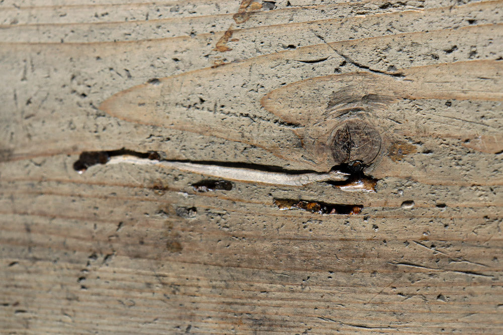 Antique tools DC7973