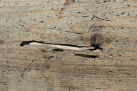 Antique tools DC7973