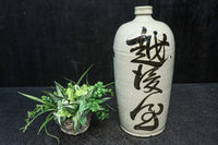 Antique tools DC7989