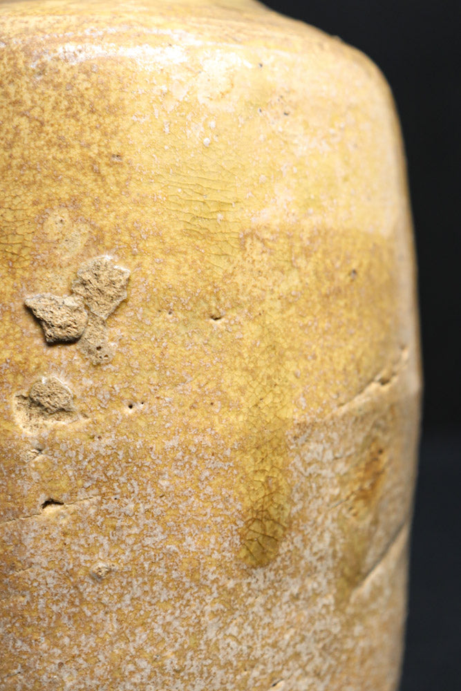 素朴な味わいの徳利　DC8034ab　在庫(a:1 b:0)個