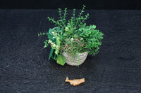 Antique tools DC8071