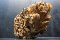 菊の葉と花が細やかに彫り描かれた彫刻梁飾り　DC8074bc　在庫(b:1 c:1)枚