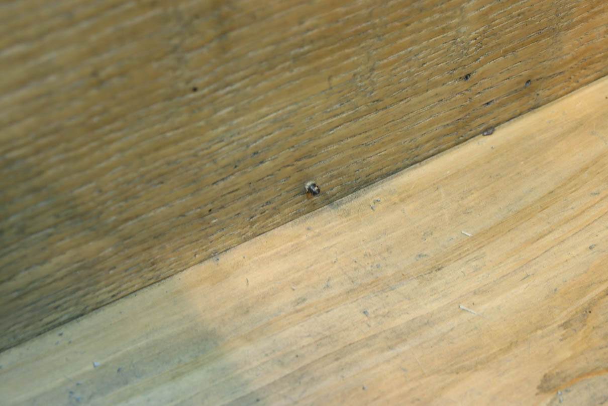 Antique tools DC8093