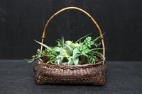 空間を上品に飾り立ててくれる花カゴ　DC8129