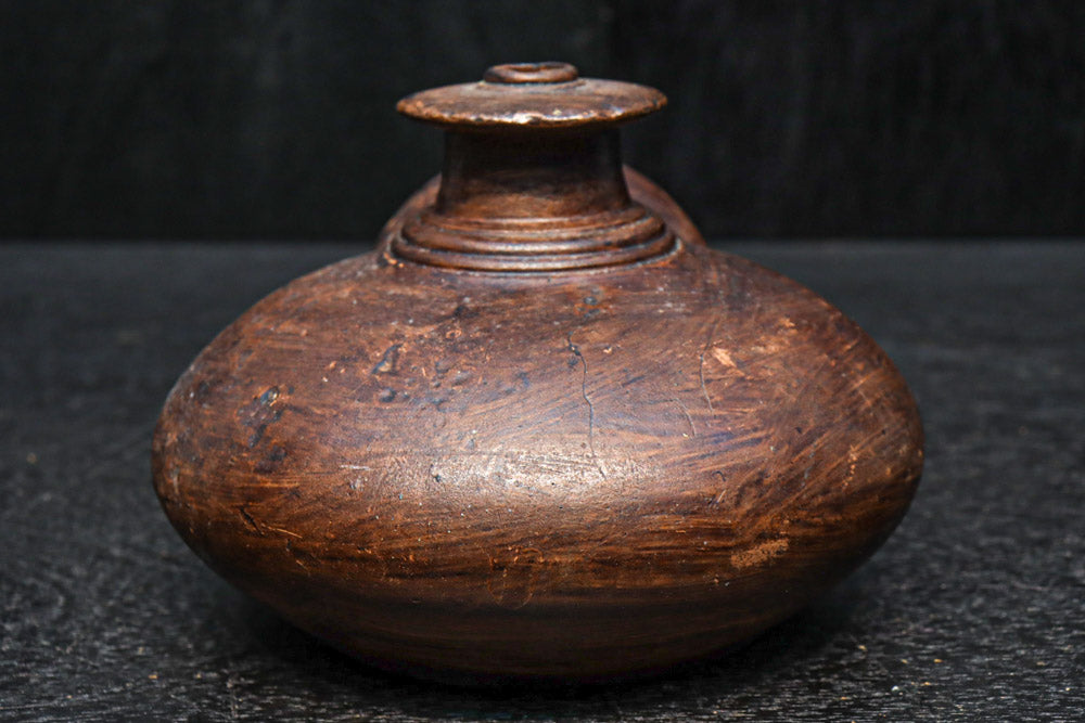 大きな瓢箪　ひょうたん ヒョウタン】大寿（大瓢箪）〔トキタ〕/小袋（10粒） | 野菜