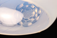 【ご精算用】オパールセントに大輪のお花の透かし模様が優雅に浮かぶ電笠　DC8146