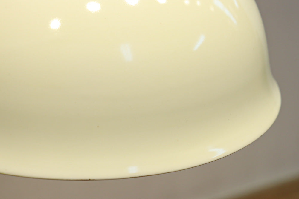 内面に花柄模様が描かれたノリタケの電笠　DC8148