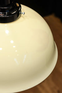 内面に花柄模様が描かれたノリタケの電笠　DC8148