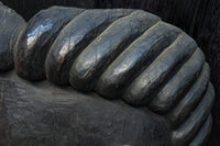 Antique tools DC8163