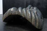 Antique tools DC8163