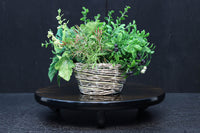 小サイズ!! 三本脚で趣きある縞黒檀の丸型置台　DC8182