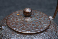 桜模様が浮かぶ小さな鉄瓶　DC8184