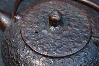 桜模様が浮かぶ小さな鉄瓶　DC8184