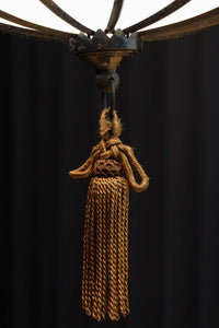 和の趣き溢れる鬼灯(ほおずき)型の房付き電笠　DC8192