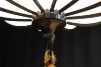 和の趣き溢れる鬼灯(ほおずき)型の房付き電笠　DC8192