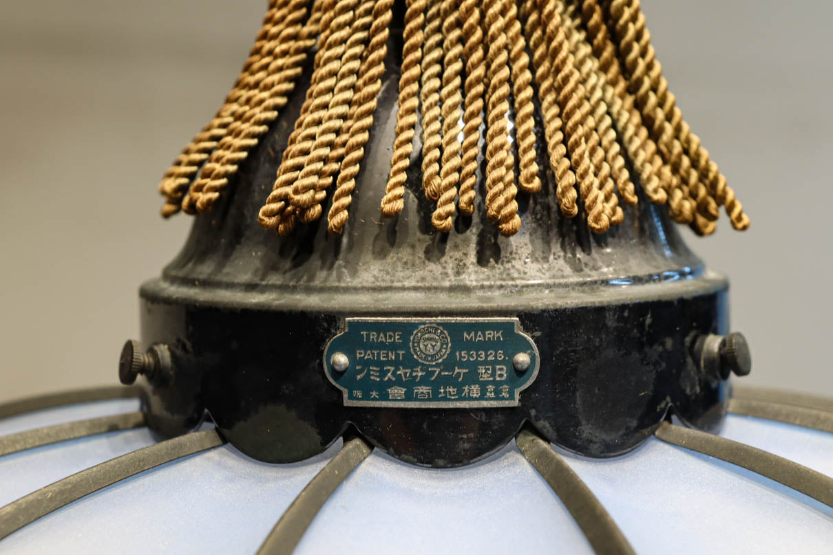 和の趣き溢れる鬼灯(ほおずき)型の房付き電笠　DC8192