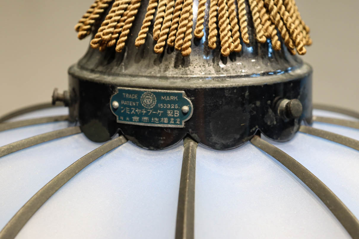 和の趣き溢れる鬼灯(ほおずき)型の房付き電笠　DC8192