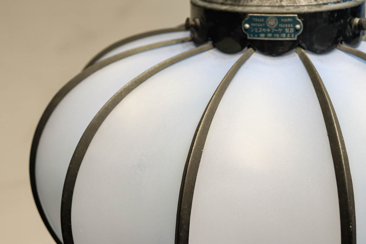 和の趣き溢れる鬼灯(ほおずき)型の房付き電笠　DC8192