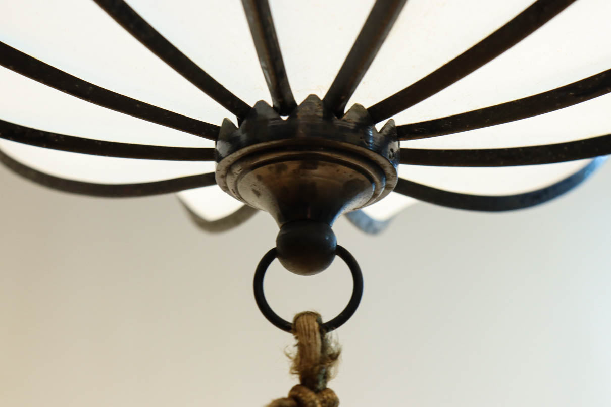 和の趣き溢れる鬼灯(ほおずき)型の房付き電笠　DC8192