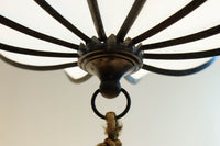 和の趣き溢れる鬼灯(ほおずき)型の房付き電笠　DC8192