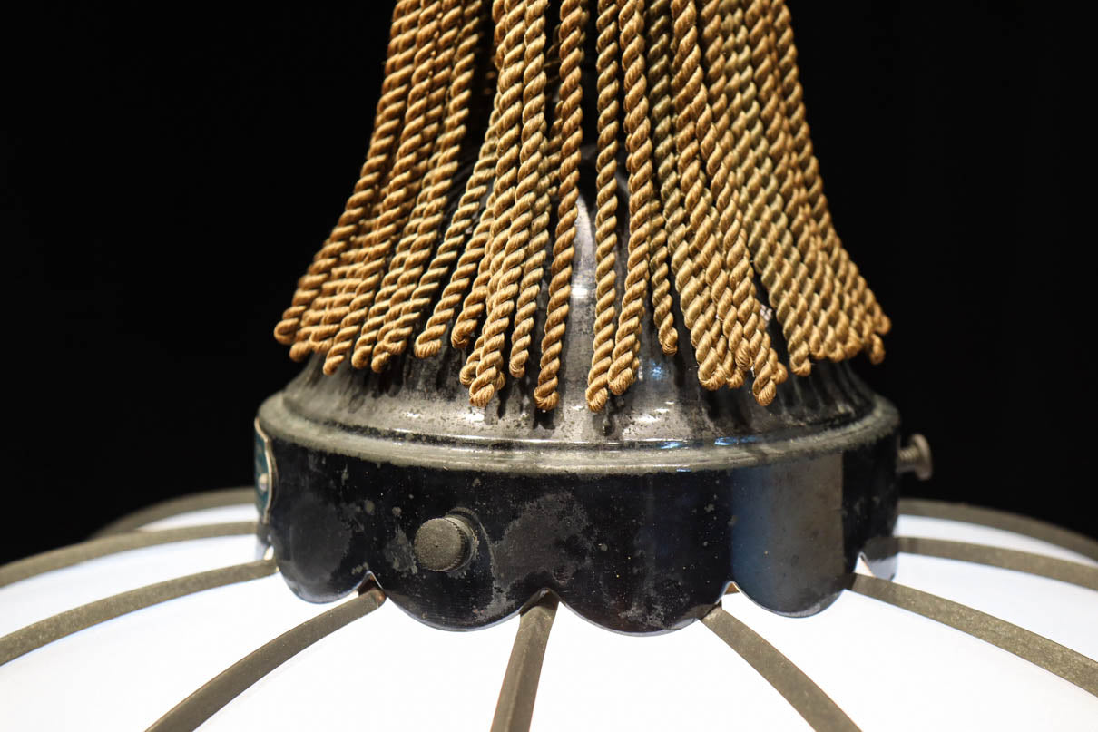 和の趣き溢れる鬼灯(ほおずき)型の房付き電笠　DC8192