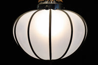 和の趣き溢れる鬼灯(ほおずき)型の房付き電笠　DC8192