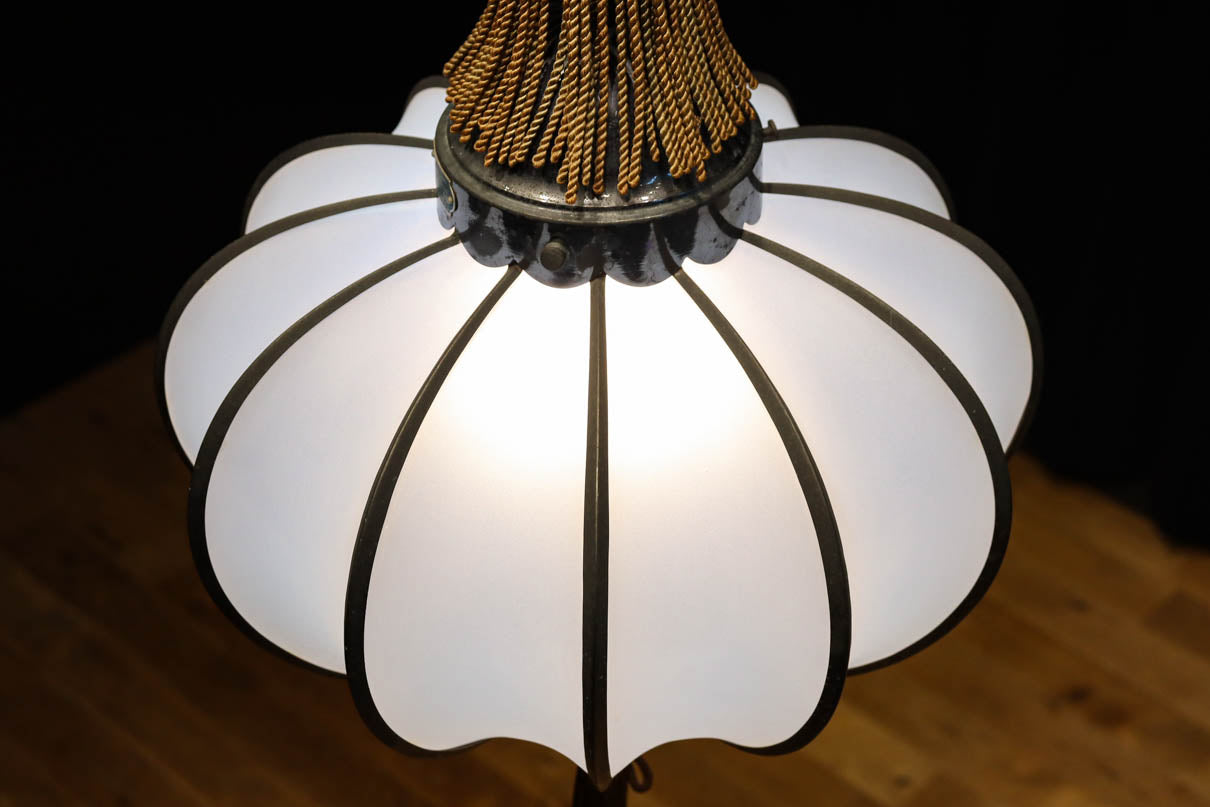 和の趣き溢れる鬼灯(ほおずき)型の房付き電笠　DC8192