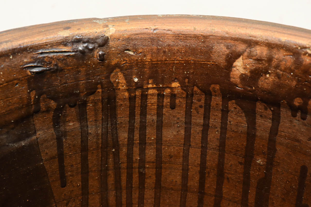 すっきりと細長な面持ちのある小型のカメ　DC8196