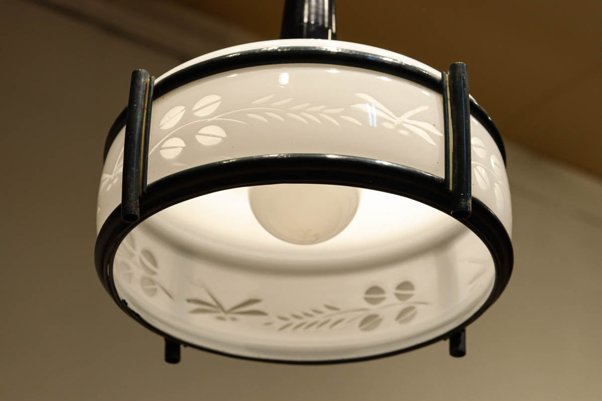 稲とトンボの透かし模様がほのかに浮かぶ電笠　DC8216