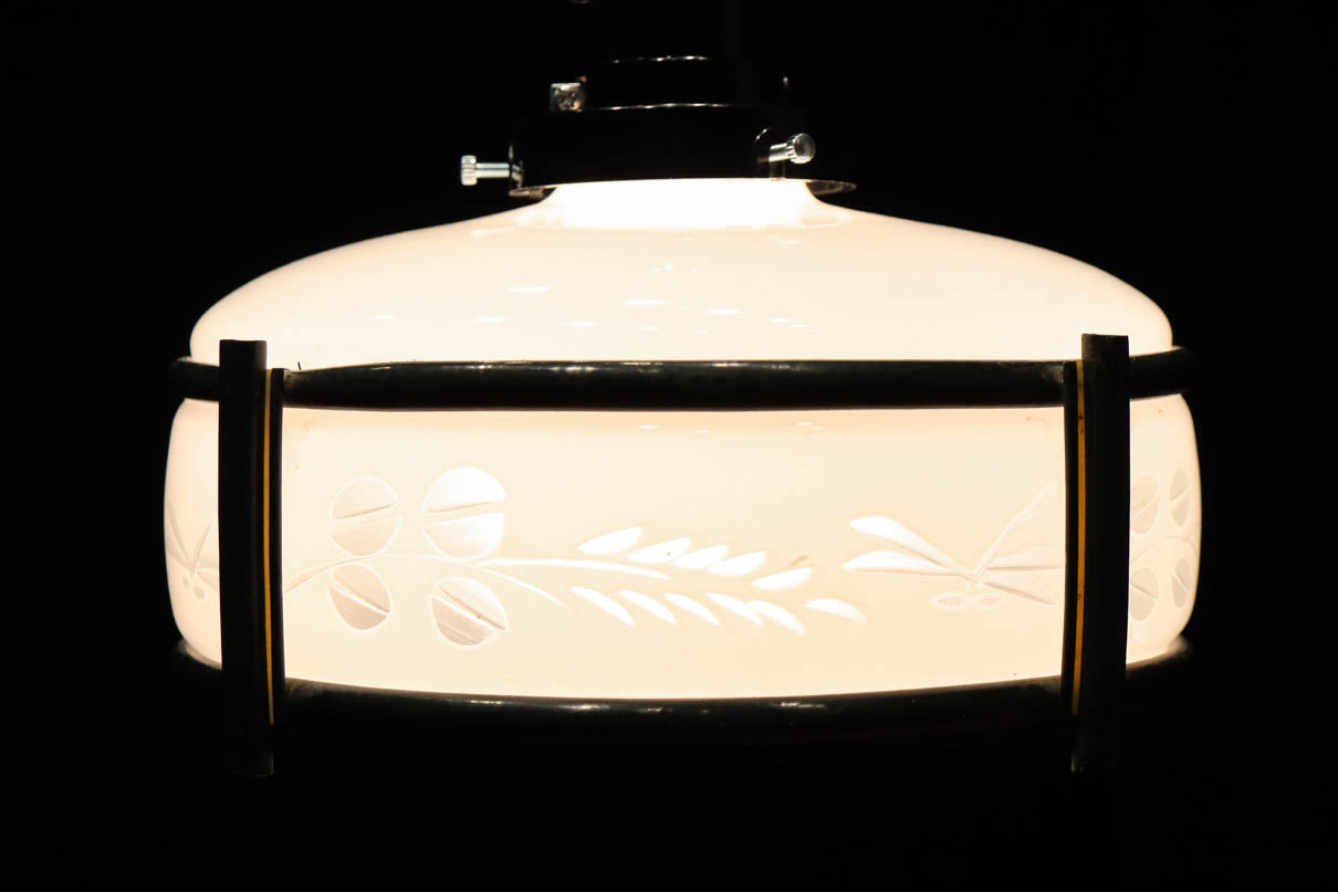 稲とトンボの透かし模様がほのかに浮かぶ電笠　DC8216