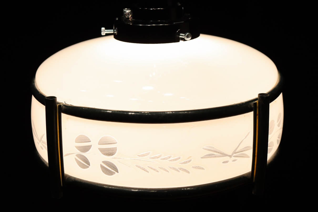 稲とトンボの透かし模様がほのかに浮かぶ電笠　DC8216