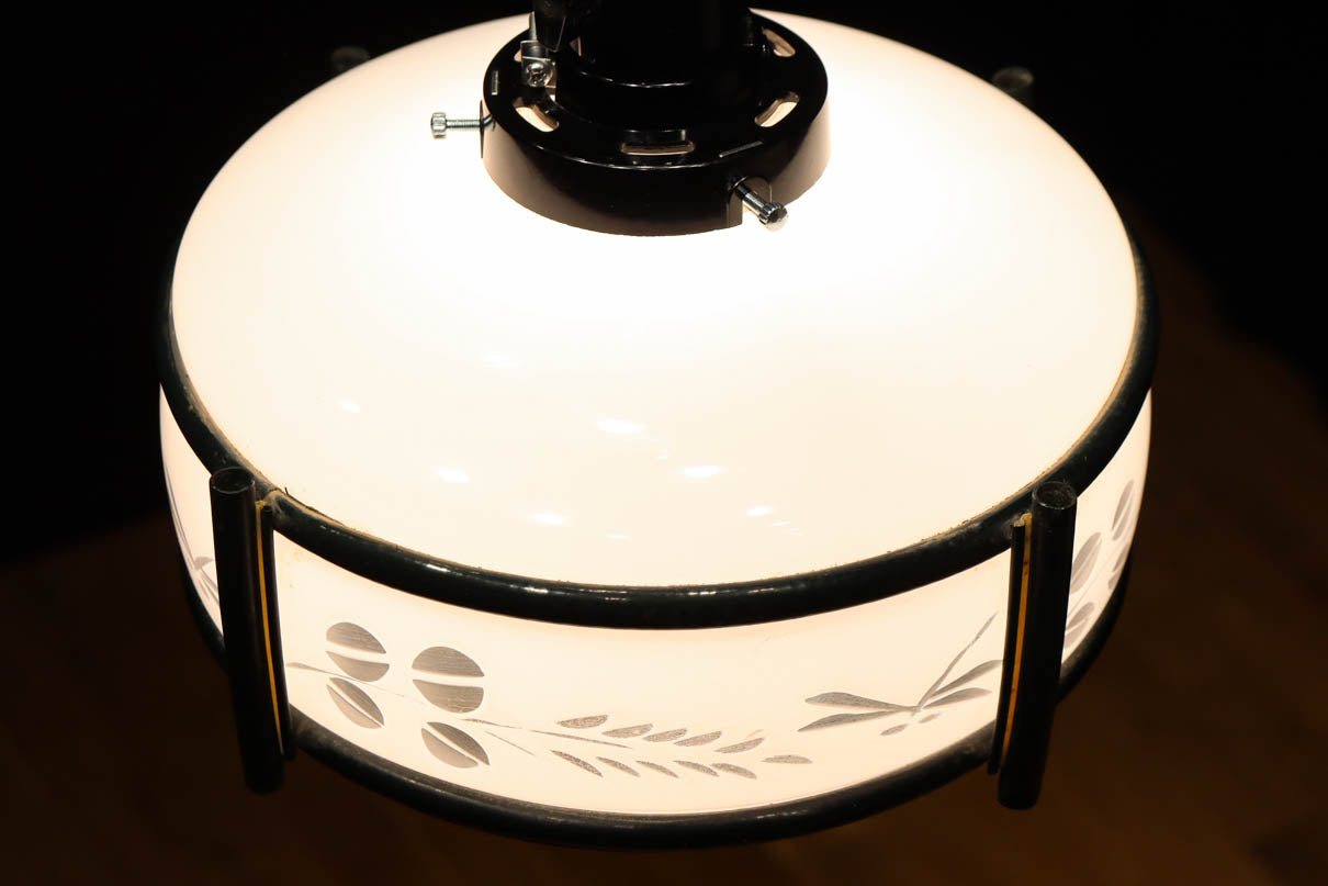 稲とトンボの透かし模様がほのかに浮かぶ電笠　DC8216