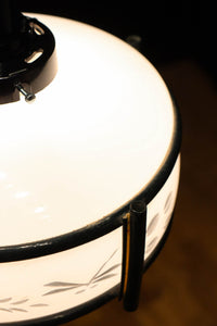 稲とトンボの透かし模様がほのかに浮かぶ電笠　DC8216