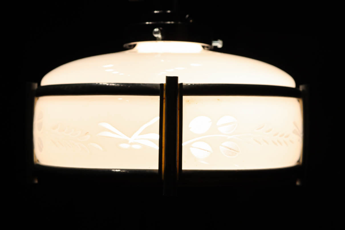 稲とトンボの透かし模様がほのかに浮かぶ電笠　DC8216