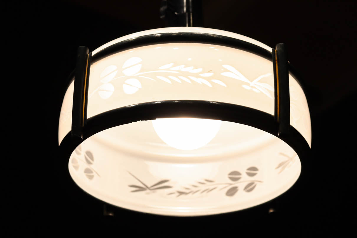 稲とトンボの透かし模様がほのかに浮かぶ電笠　DC8216