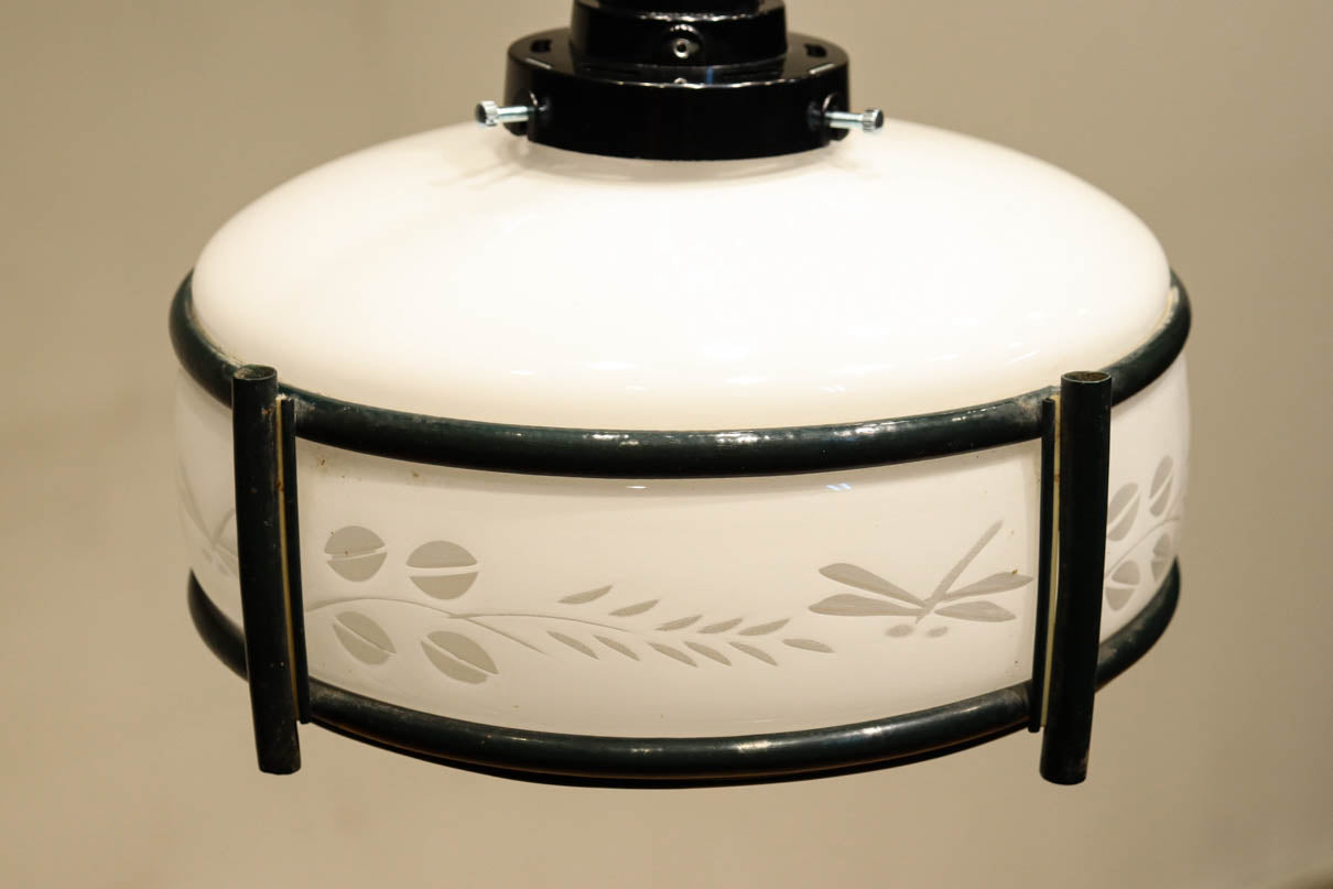 稲とトンボの透かし模様がほのかに浮かぶ電笠　DC8216