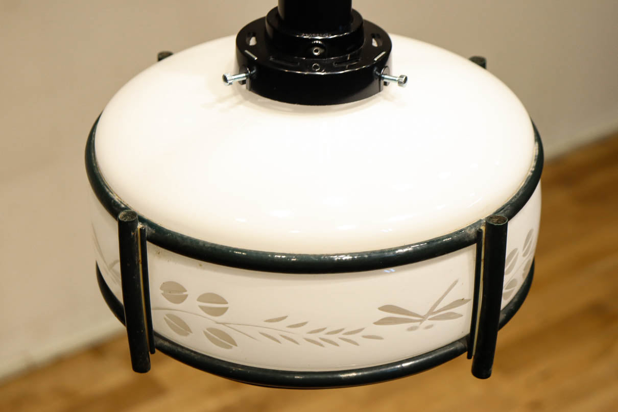 稲とトンボの透かし模様がほのかに浮かぶ電笠　DC8216