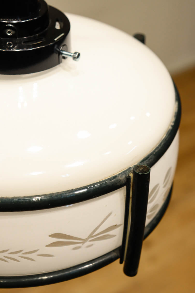 稲とトンボの透かし模様がほのかに浮かぶ電笠　DC8216