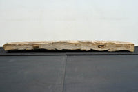 Antique tools DC8221