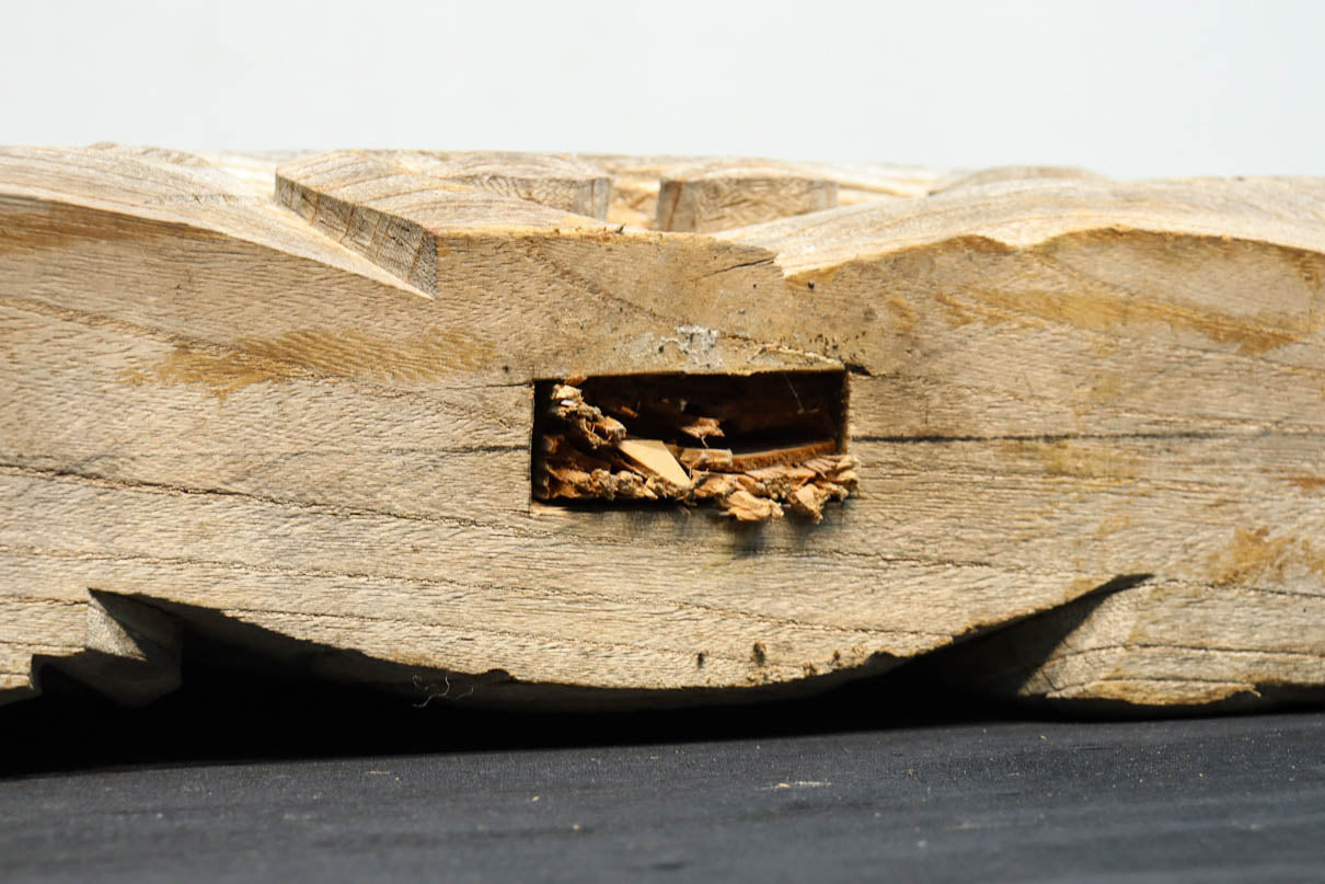 Antique tools DC8221