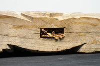 Antique tools DC8221