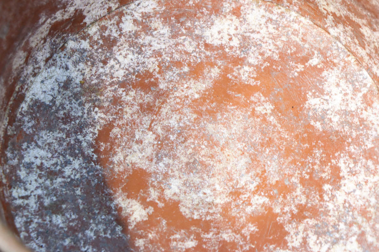 Antique tools DC8227