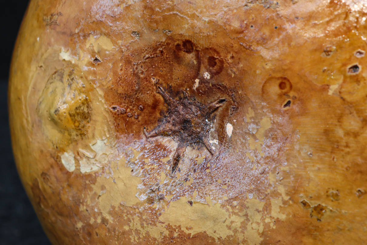 丸みがあり愛嬌あるふくべ細工のかぼちゃ型炭入れ　DC8237