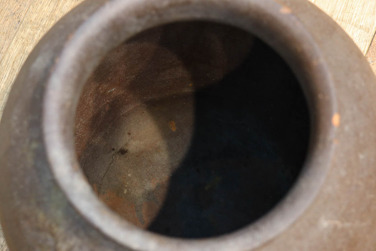 小振りサイズ!! 丸みのあるデザインが可愛らしいカメ　DC8238