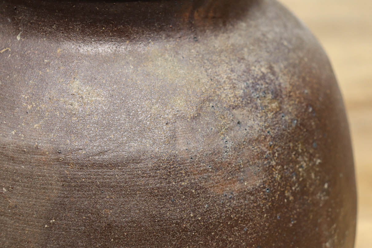 小振りサイズ!! 丸みのあるデザインが可愛らしいカメ　DC8238